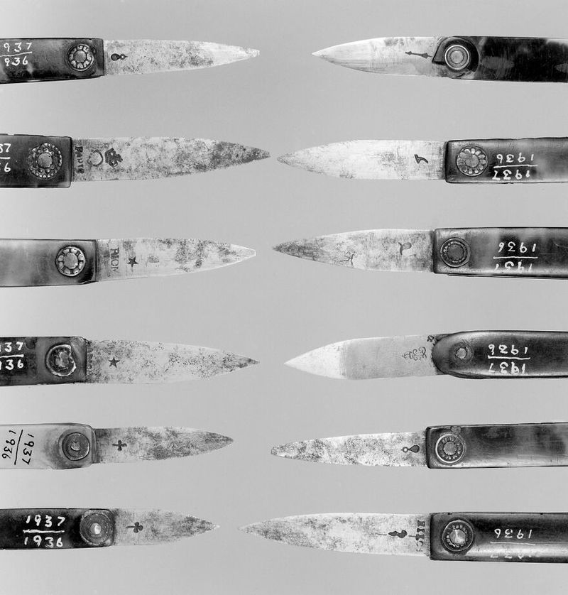 No text description is available for this image