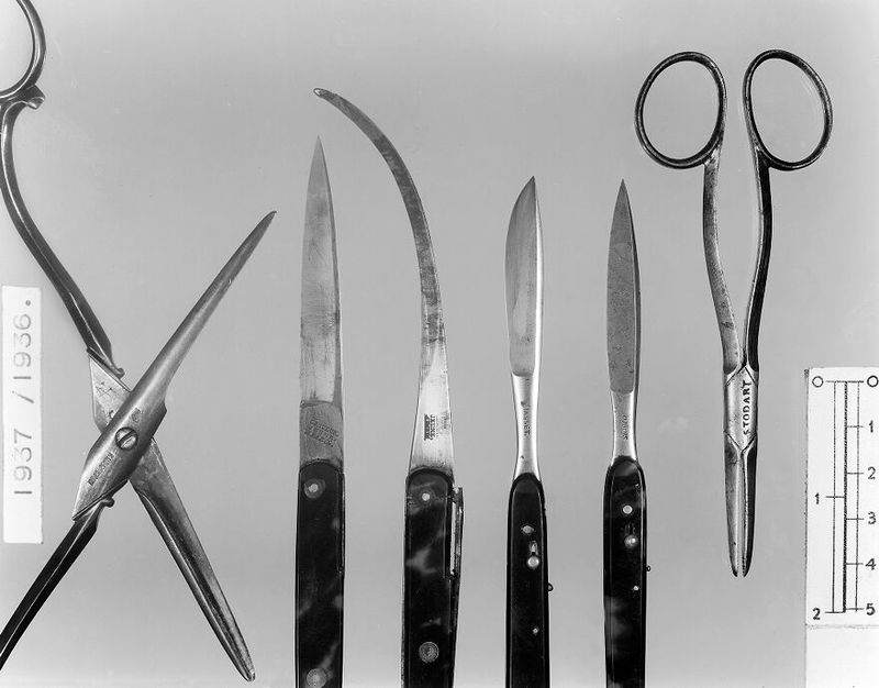 No text description is available for this image