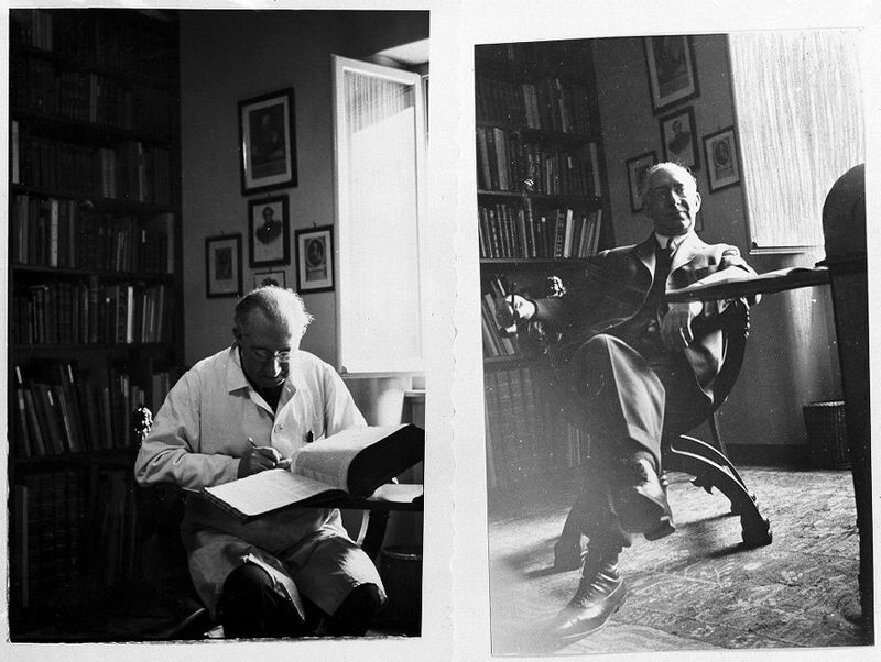 No text description is available for this image