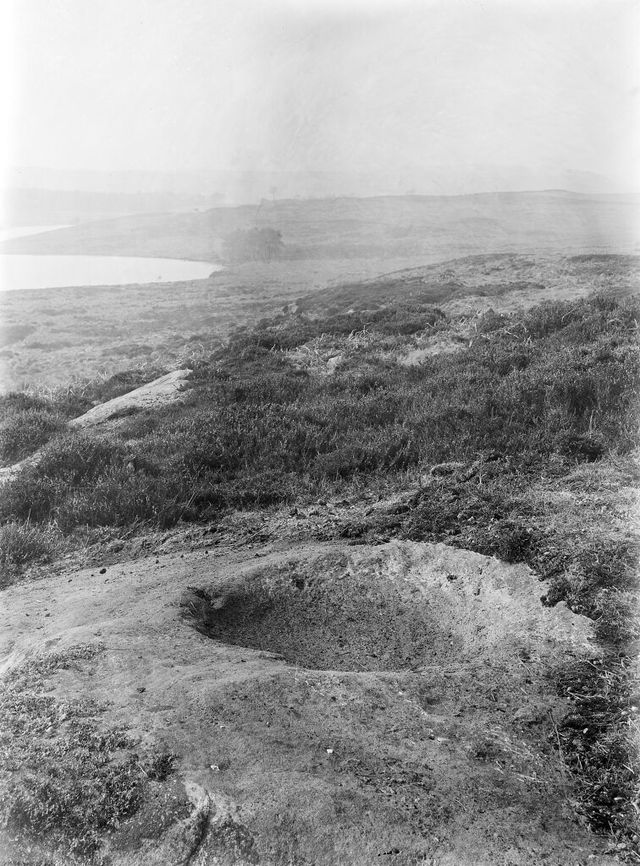 No text description is available for this image