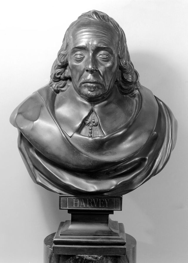 digitised image 1