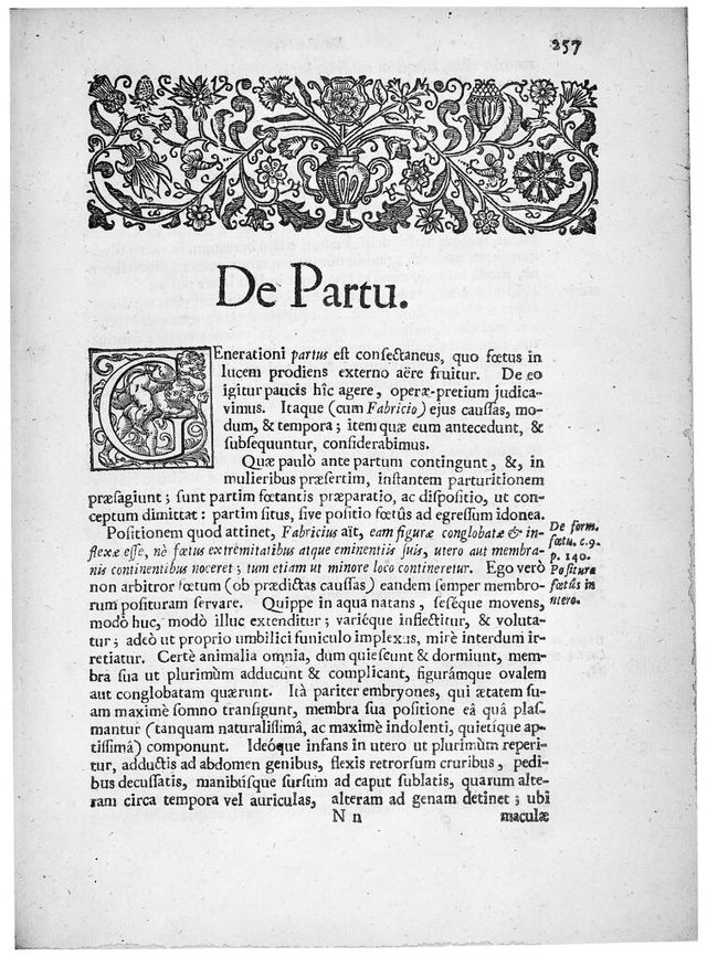 digitised image 1