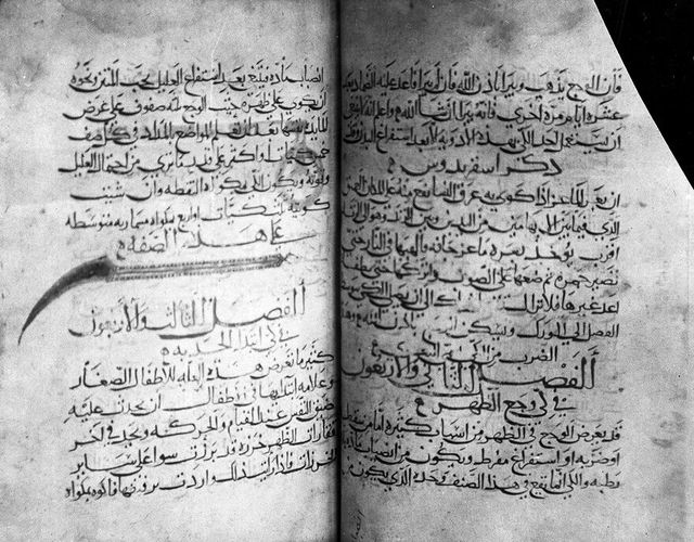 digitised image 1