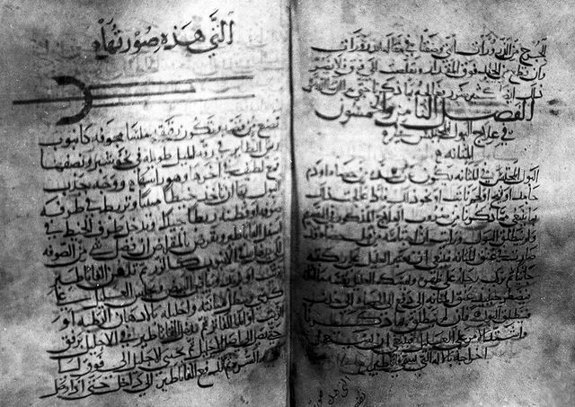 digitised image 2