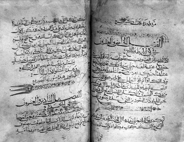 digitised image 2