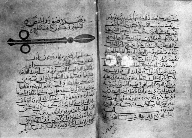 digitised image 3