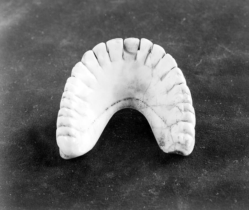 No text description is available for this image