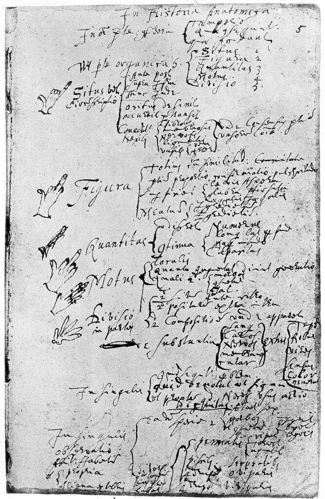 digitised image 1
