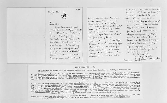 digitised image 1