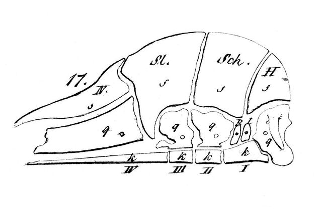 digitised image 1