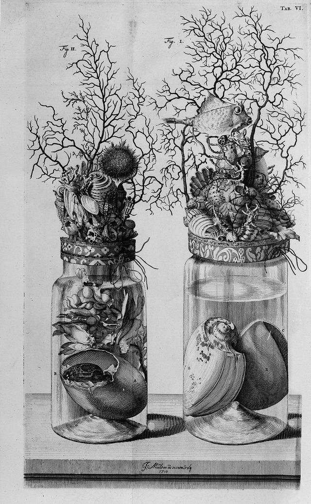 digitised image 1