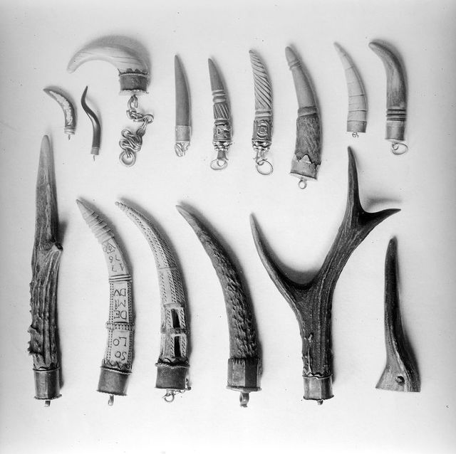 No text description is available for this image