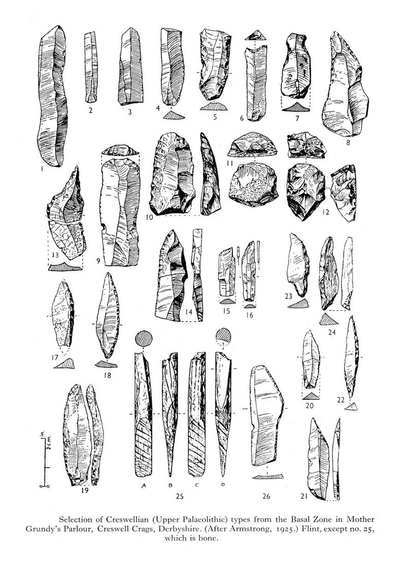 No text description is available for this image