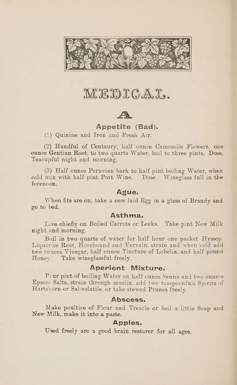 OCW CR A) > > «€ LX. Appetite (Bad). (1) Quinine and Iron and Fresh Air. ‘e) (2) Handful of Centaury, half ounce Camomile Flowers, one ounce Gentian Root, to two quarts Water, boil to three pints. Dose, Teacupful night and morning. (3) Half ounce Peruvian bark to half pint boiling Water, when cold mix with half pint Port Wine. Dose. Wineglass full in the forenoon. Asue. When fits are on, take a new laid Egg in a glass of Brandy and go to bed. Asthma, Live chiefly on Boiled Carrots or Leeks. Take pint New Milk night and morning. Boil in two quarts of water for half hour one packet Hyssop. Liquorice Root, Horehound and Vervain, strain and when cold add two ounces Vinegar, half ounce Tincture of Lobelia, and half pound Honey. Take wineglassful freely. Aperient Mixture. Pour pint of boiling Water on half ounce Senna and two ounces Epson: Salts, strain through muslin, add two teaspoonfuls Spirits of Hartshorn or Sal-volatile. or take stewed Prunes freely. Abscess. Make poultice of Flour and Treacle or boil a little Soap and New Milk, make it into a paste. Apples. Used freely are a good brain restorer for all ages.