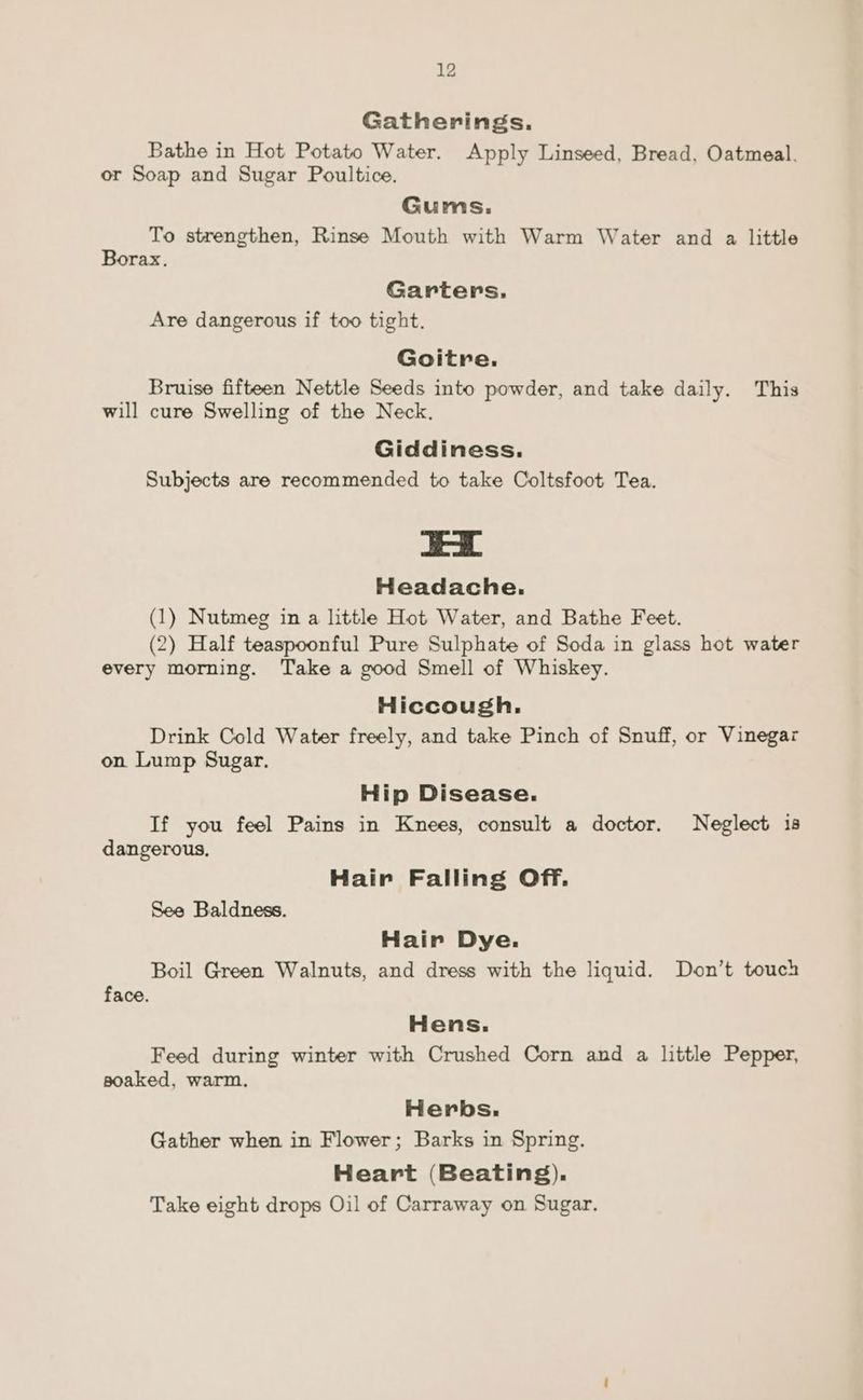 Gatherings. Bathe in Hot Potato Water. Apply Linseed, Bread, Oatmeal. or Soap and Sugar Poultice. Gums. To strengthen, Rinse Mouth with Warm Water and a little Borax. Garters, Are dangerous if too tight. Goitre. Bruise fifteen Nettle Seeds into powder, and take daily. This will cure Swelling of the Neck. Giddiness. Subjects are recommended to take Coltsfoot Tea. a= § Headache. (1) Nutmeg in a little Hot Water, and Bathe Feet. (2) Half teaspoonful Pure Sulphate of Soda in glass hot water every morning. Take a good Smell of Whiskey. Hiccough. Drink Cold Water freely, and take Pinch of Snuff, or Vinegar on Lump Sugar. Hip Disease. If you feel Pains in Knees, consult a doctor. Neglect is dangerous, Hair Falling Off. See Baldness. Hair Dye. Boil Green Walnuts, and dress with the liquid. Don’t touch face. Hens. Feed during winter with Crushed Corn and a little Pepper, soaked, warm. Herbs. Gather when in Flower; Barks in Spring. Heart (Beating). Take eight drops Oil of Carraway on Sugar.