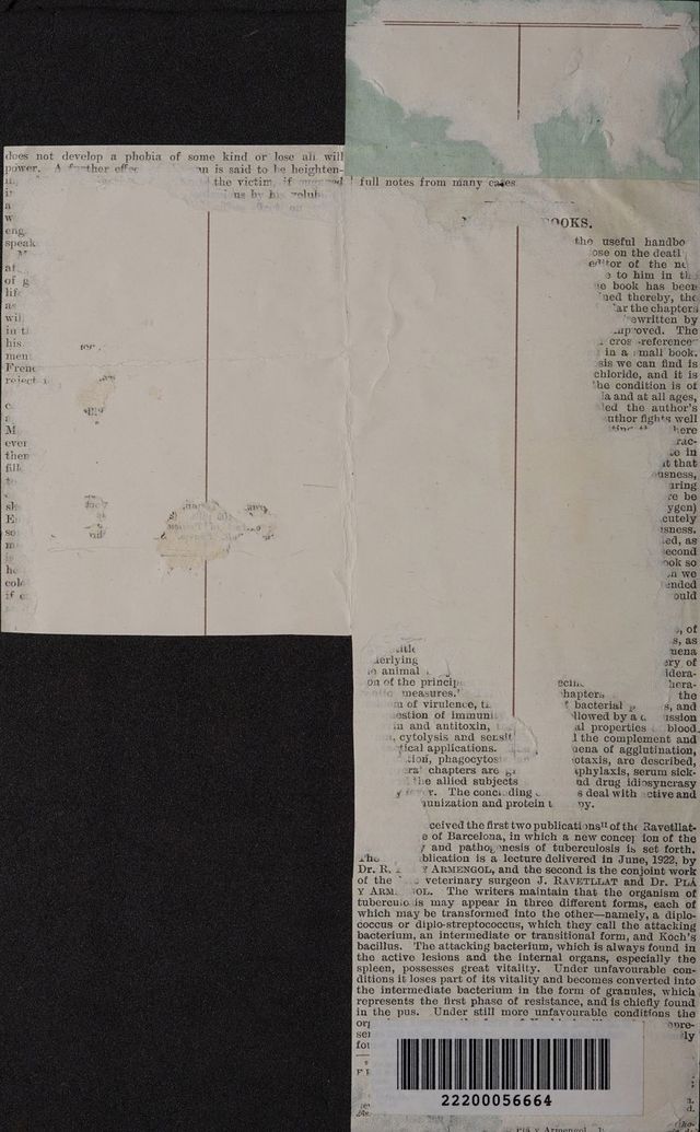 digitised image 2