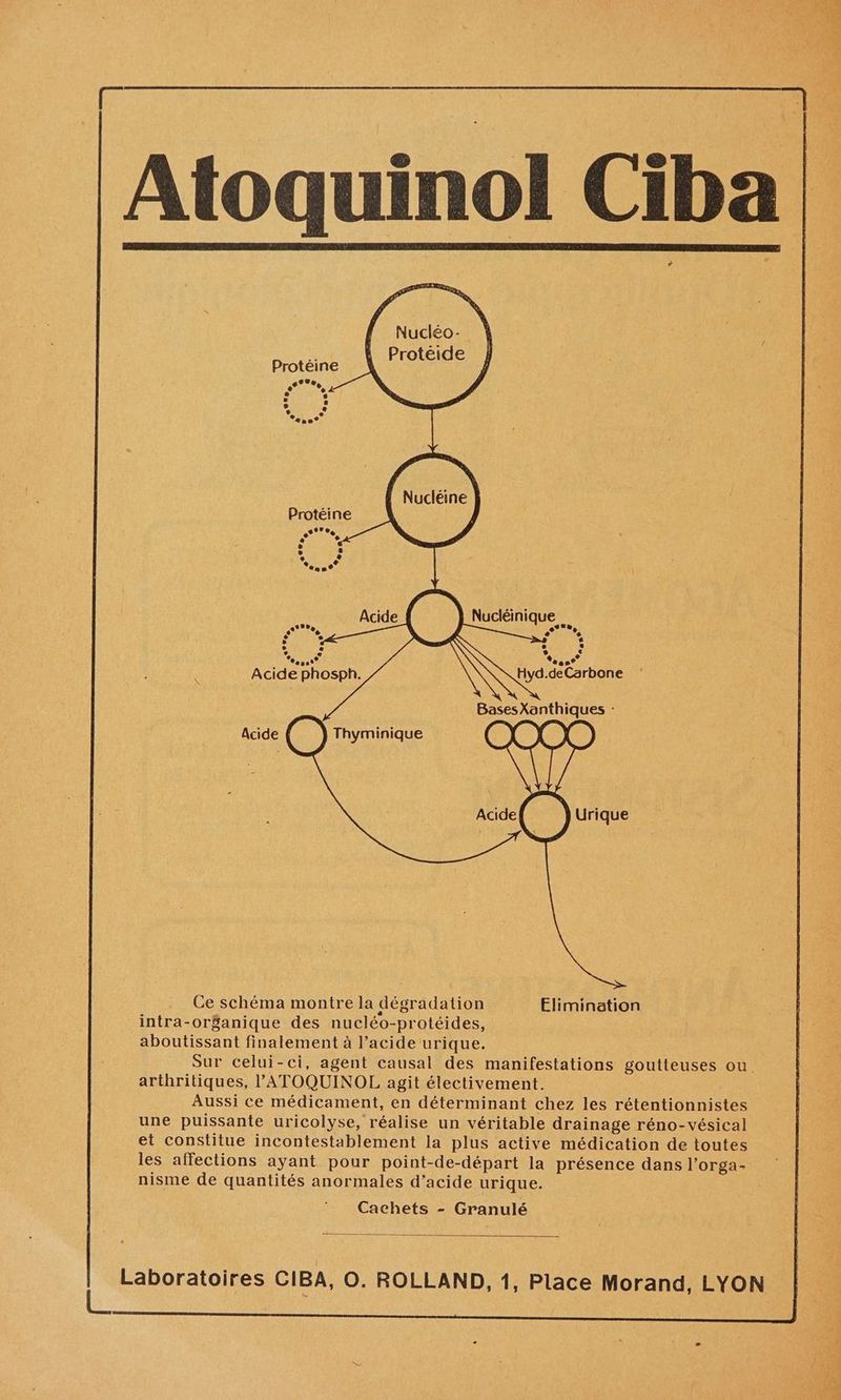 r- » Nucléo-. | ; Protéide Protéine °° ® se? Li | 3 e e no? Nucléine | Protéine Nucléinique e er Le ND n Acide phosph. Hyd.deCarbone \ Bases Xanthiques : Ce schéma montre la dégradation Elimination intra-or$anique des nucléo-protéides, aboutissant finalement à l’acide urique. Sur celui-ci, agent causal des manifestations goutteuses ou. arthritiques, l'ATOQUINOL agit électivement. Aussi ce médicament, en déterminant chez les rétentionnistes une puissante uricolyse, réalise un véritable drainage réno-vésical et constitue incontestablement la plus active médication de toutes les affections ayant pour point-de-départ la présence dans l’orga- nisme de quantités anormales d’acide urique. Cachets - Granulé