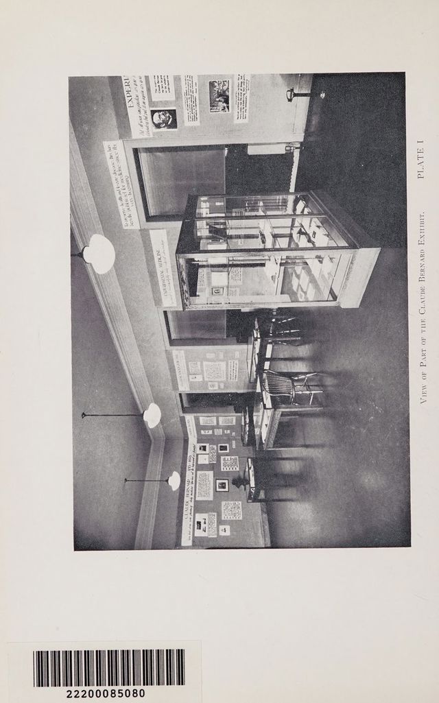 digitised image 2