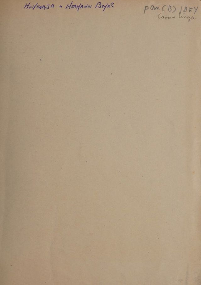 digitised image 1