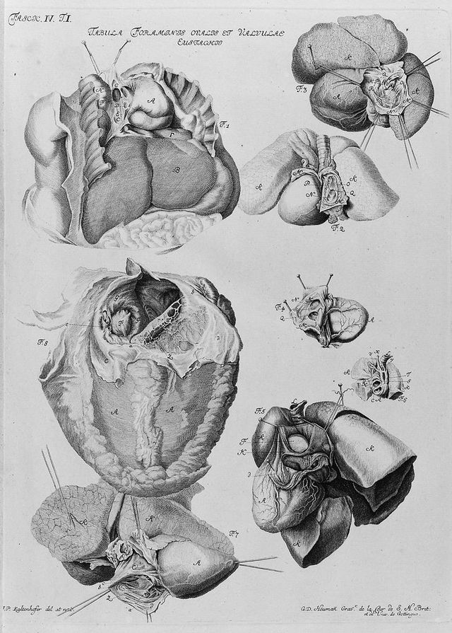 digitised image 1