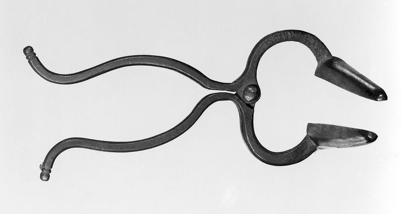 No text description is available for this image