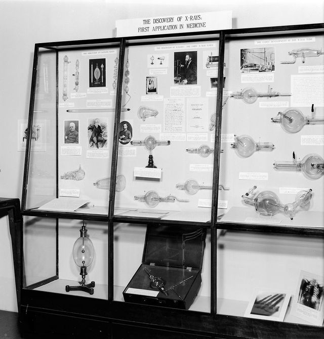 No text description is available for this image