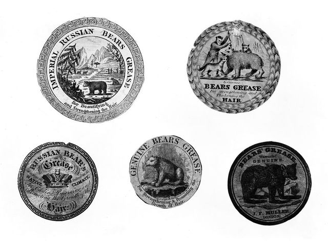 No text description is available for this image