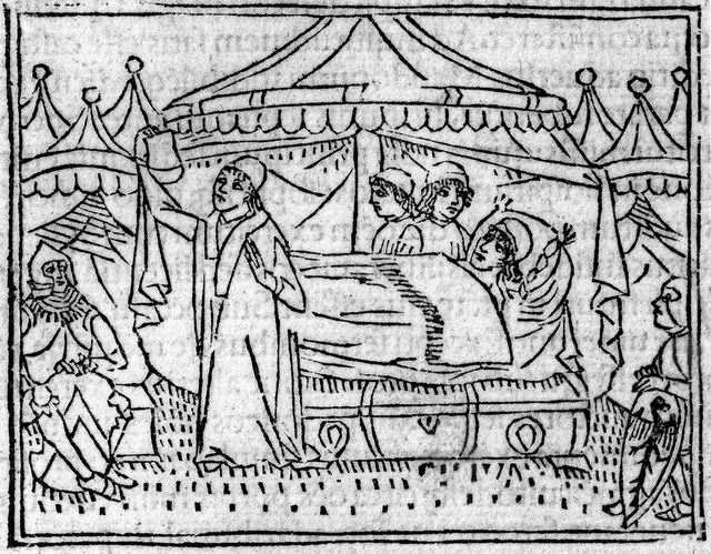 digitised image 1