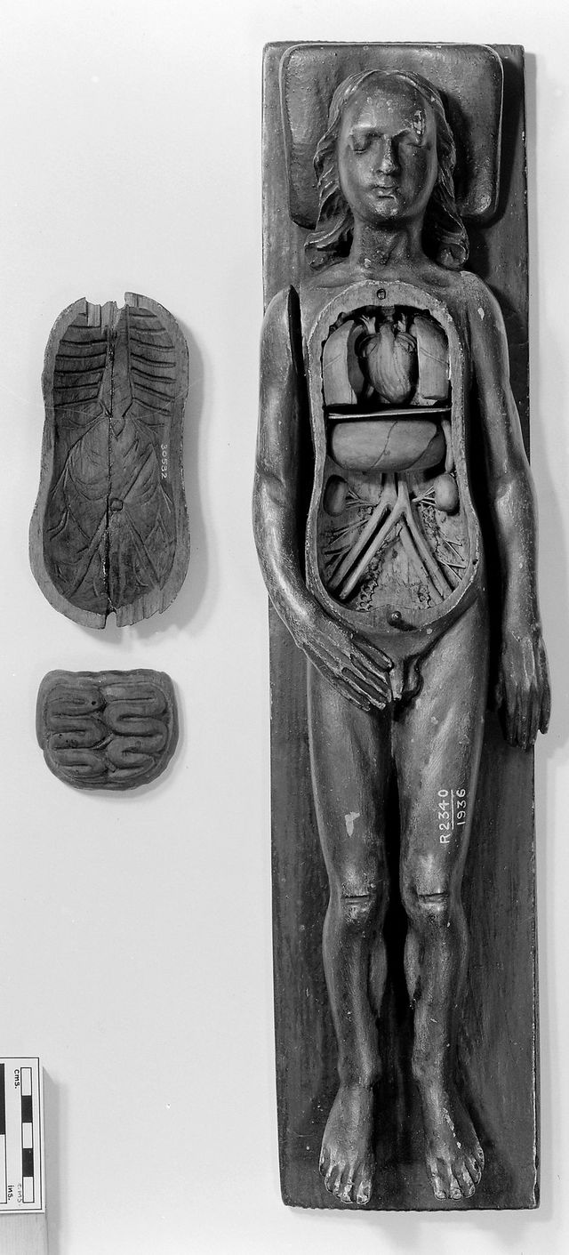 No text description is available for this image