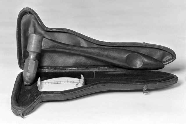 No text description is available for this image