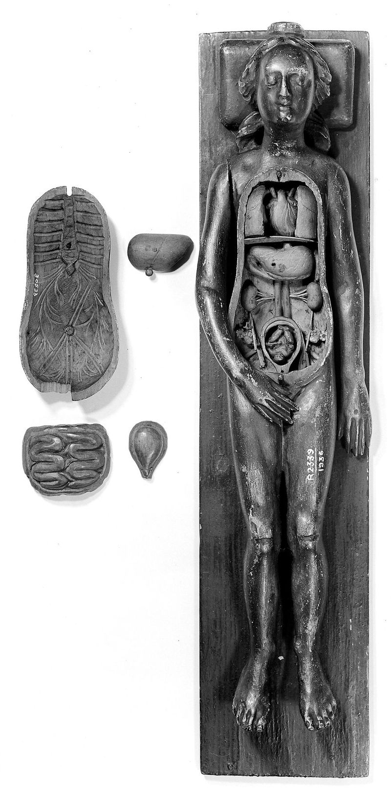 No text description is available for this image