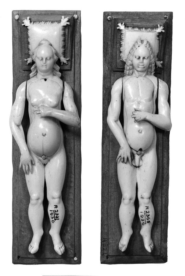 No text description is available for this image