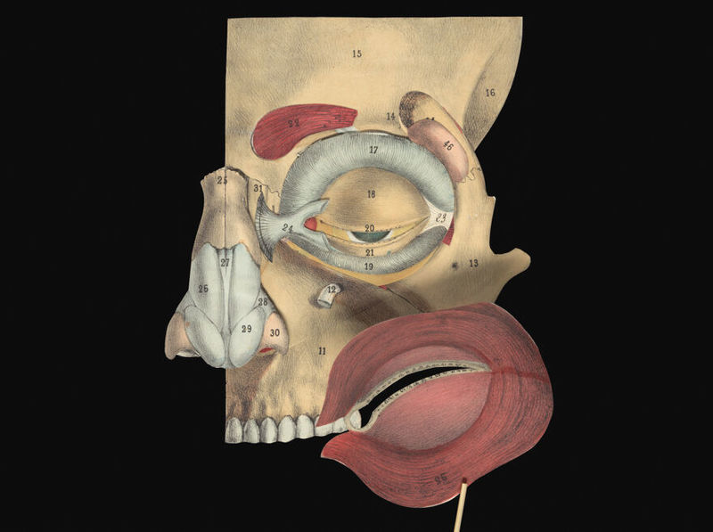 No text description is available for this image