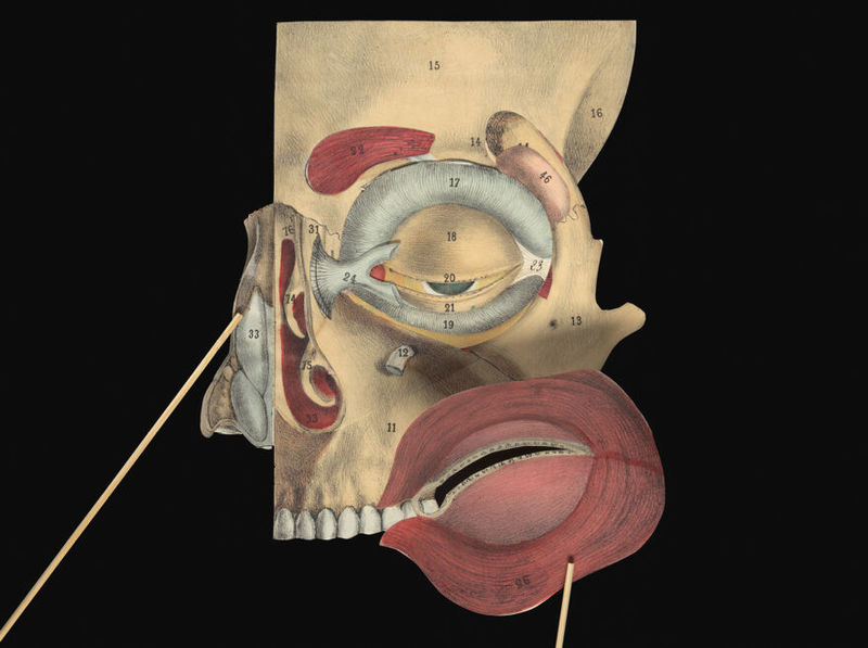 No text description is available for this image