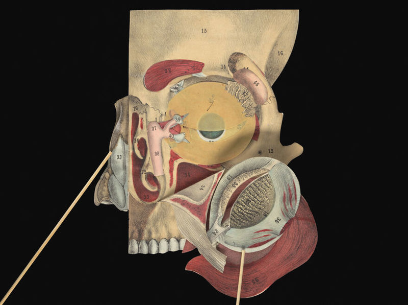 No text description is available for this image