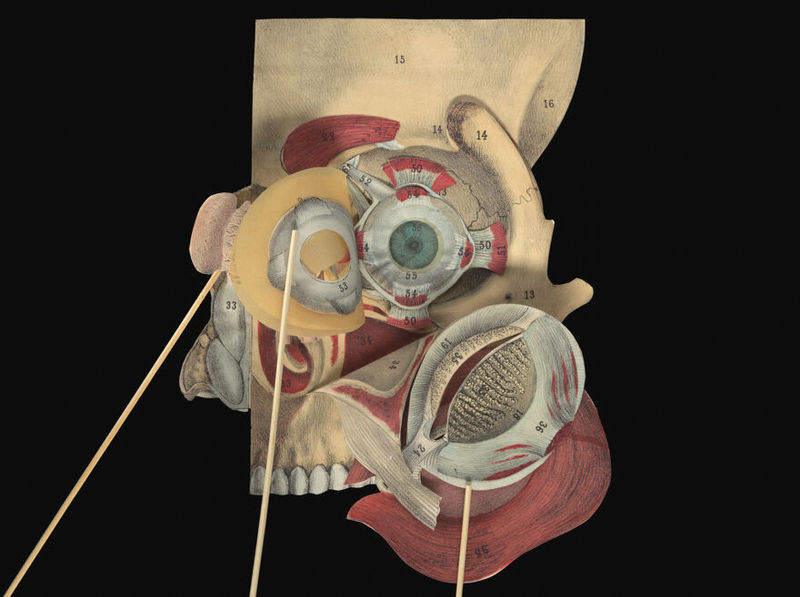 No text description is available for this image