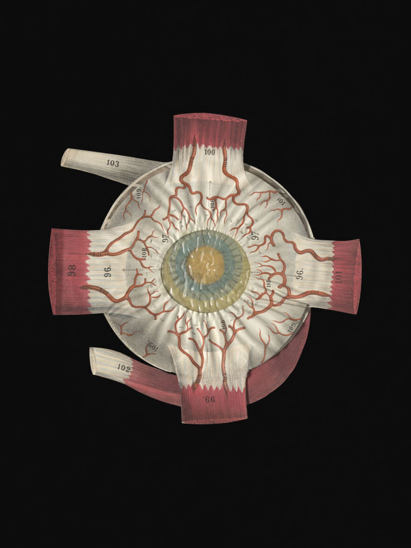 No text description is available for this image