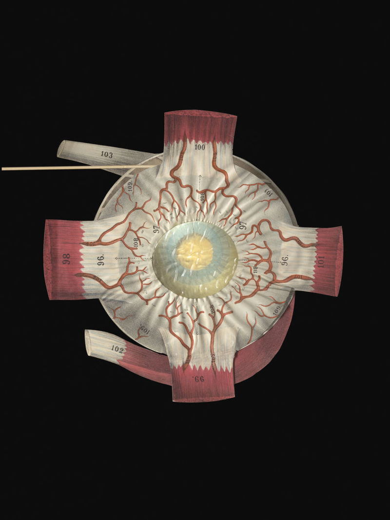 No text description is available for this image