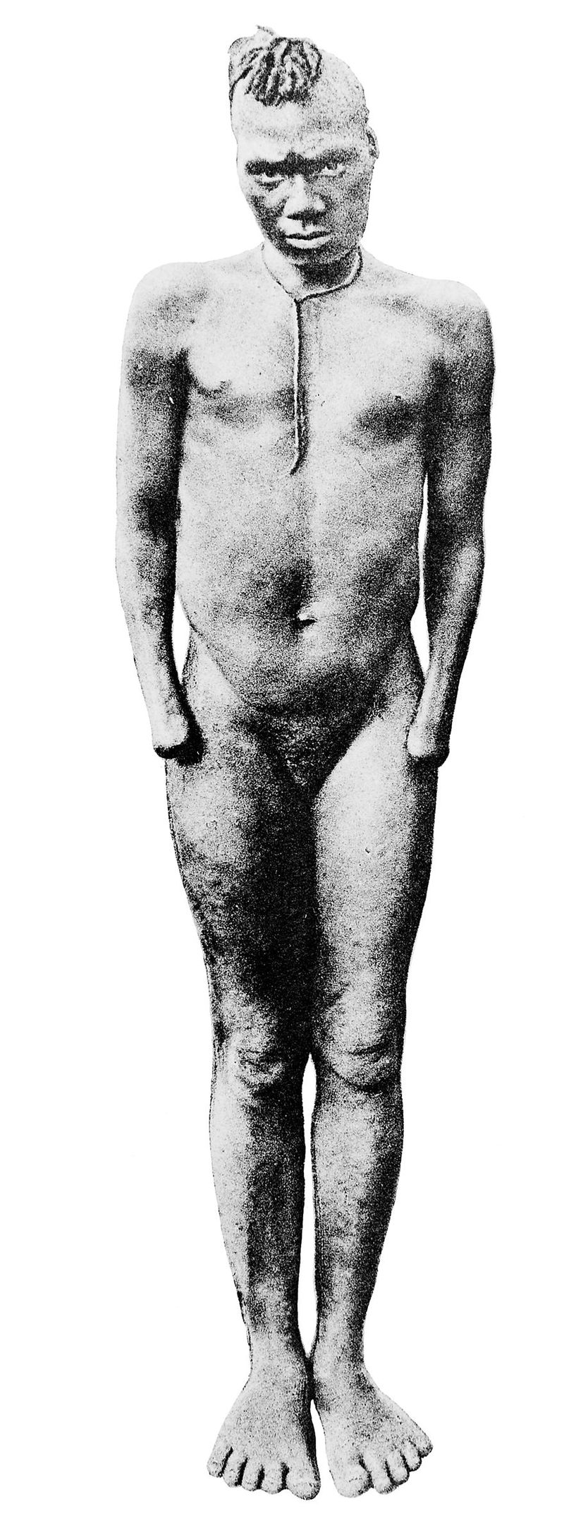 No text description is available for this image