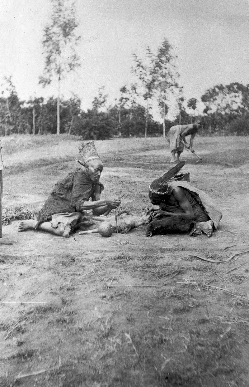 No text description is available for this image