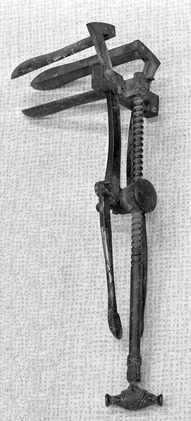 No text description is available for this image