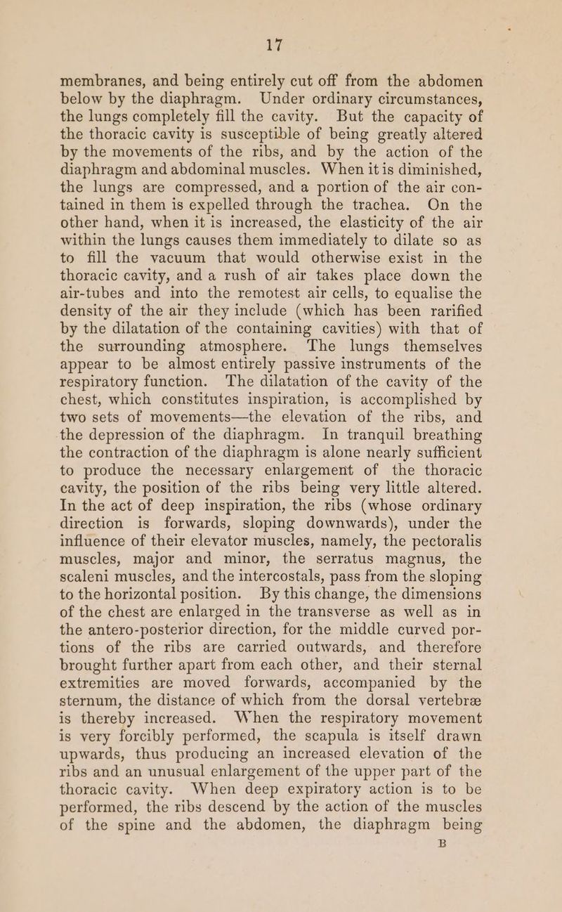 membranes, and being entirely cut off from the abdomen below by the diaphragm. Under ordinary circumstances, the lungs completely fill the cavity. But the capacity of the thoracic cavity is susceptible of being greatly altered by the movements of the ribs, and by the action of the diaphragm and abdominal muscles. When itis diminished, the lungs are compressed, and a portion of the air con- tained in them is expelled through the trachea. On the other hand, when it is increased, the elasticity of the air within the lungs causes them immediately to dilate so as to fill the vacuum that would otherwise exist in the thoracic cavity, and a rush of air takes place down the air-tubes and into the remotest air cells, to equalise the density of the air they include (which has been rarified by the dilatation of the containing cavities) with that of the surrounding atmosphere. The lungs themselves appear to be almost entirely passive instruments of the respiratory function. The dilatation of the cavity of the chest, which constitutes inspiration, is accomplished by two sets of movements—the elevation of the ribs, and the depression of the diaphragm. In tranquil breathing the contraction of the diaphragm is alone nearly sufficient to produce the necessary enlargement of the thoracic cavity, the position of the ribs being very little altered. In the act of deep inspiration, the ribs (whose ordinary direction is forwards, sloping downwards), under the influence of their elevator muscles, namely, the pectoralis muscles, major and minor, the serratus magnus, the scaleni muscles, and the intercostals, pass from the sloping to the horizontal position. By this change, the dimensions of the chest are enlarged in the transverse as well as in the antero-posterior direction, for the middle curved por- tions of the ribs are carried outwards, and therefore brought further apart from each other, and their sternal extremities are moved forwards, accompanied by the sternum, the distance of which from the dorsal vertebrae is thereby increased. When the respiratory movement is very forcibly performed, the scapula is itself drawn upwards, thus producing an increased elevation of the ribs and an unusual enlargement of the upper part of the thoracic cavity. When deep expiratory action is to be performed, the ribs descend by the action of the muscles of the spine and the abdomen, the diaphragm being B
