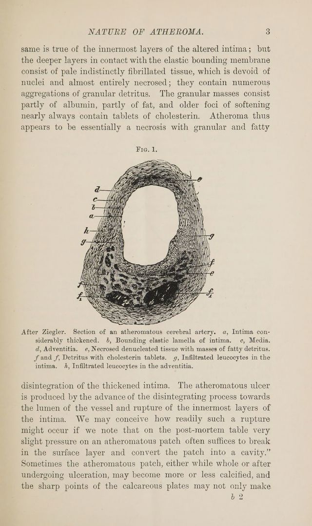 digitised image 3