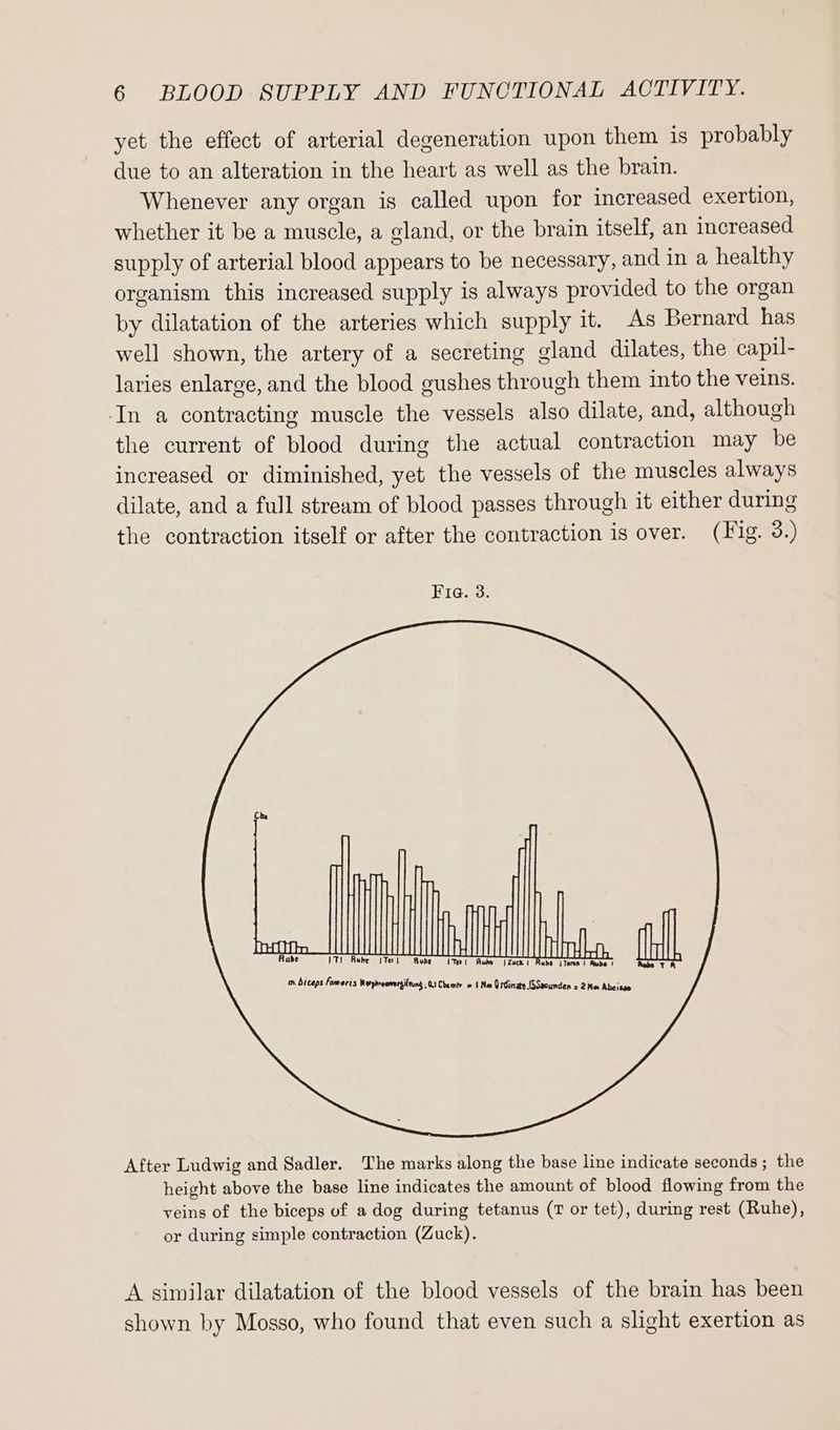 yet the effect of arterial degeneration upon them is probably due to an alteration in the heart as well as the brain. Whenever any organ is called upon for increased exertion, whether it be a muscle, a gland, or the brain itself, an increased supply of arterial blood appears to be necessary, and in a healthy organism this increased supply is always provided to the organ by dilatation of the arteries which supply it. As Bernard has well shown, the artery of a secreting gland dilates, the capil- laries enlarge, and the blood gushes through them into the veins. ‘In a contracting muscle the vessels also dilate, and, although the current of blood during the actual contraction may be increased or diminished, yet the vessels of the muscles always dilate, and a full stream of blood passes through it either during the contraction itself or after the contraction is over. (Fig. 3.) Fia4. 3. mr. biceps Fomoris Worprreerersifrung 01 Cbemr » (Nm Ordinate (SSecunden = 2Me Abeises After Ludwig and Sadler. The marks along the base line indicate seconds ; the height above the base line indicates the amount of blood flowing from the veins of the biceps of a dog during tetanus (T or tet), during rest (Ruhe), or during simple contraction (Zuck). A similar dilatation of the blood vessels of the brain has been shown by Mosso, who found that even such a slight exertion as