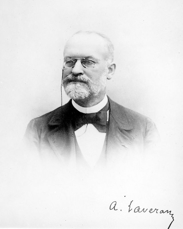 digitised image 1