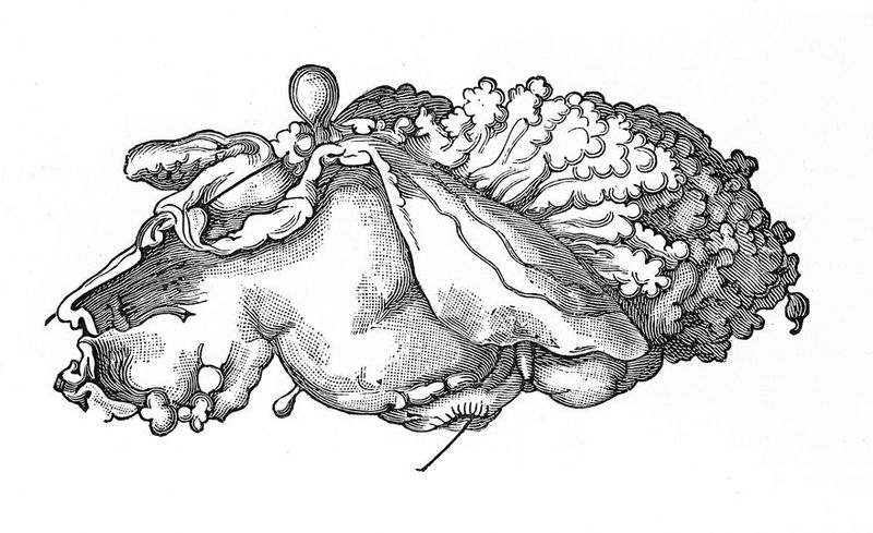 No text description is available for this image