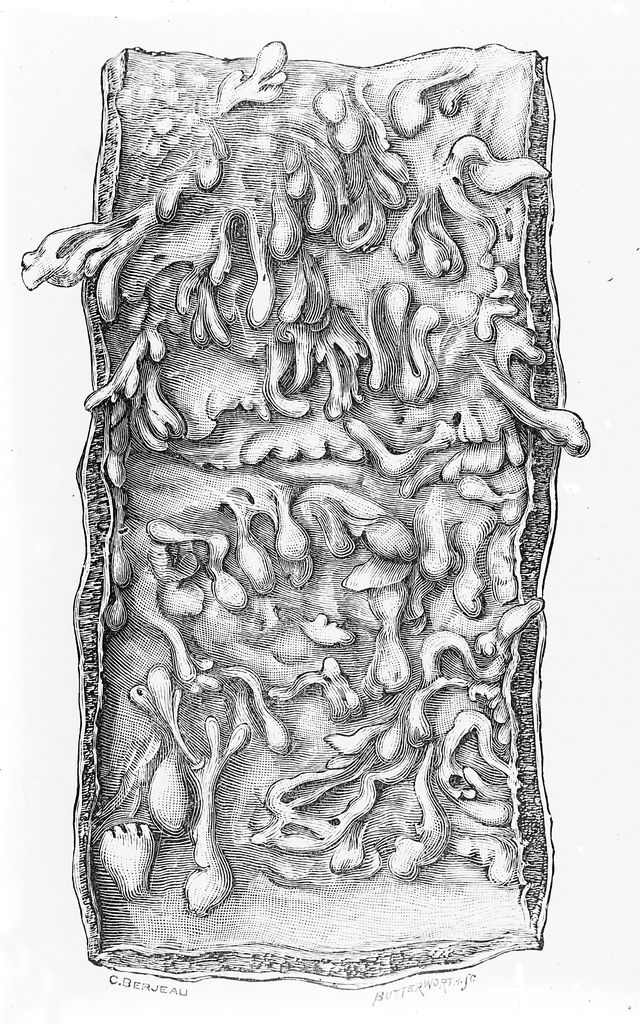 No text description is available for this image