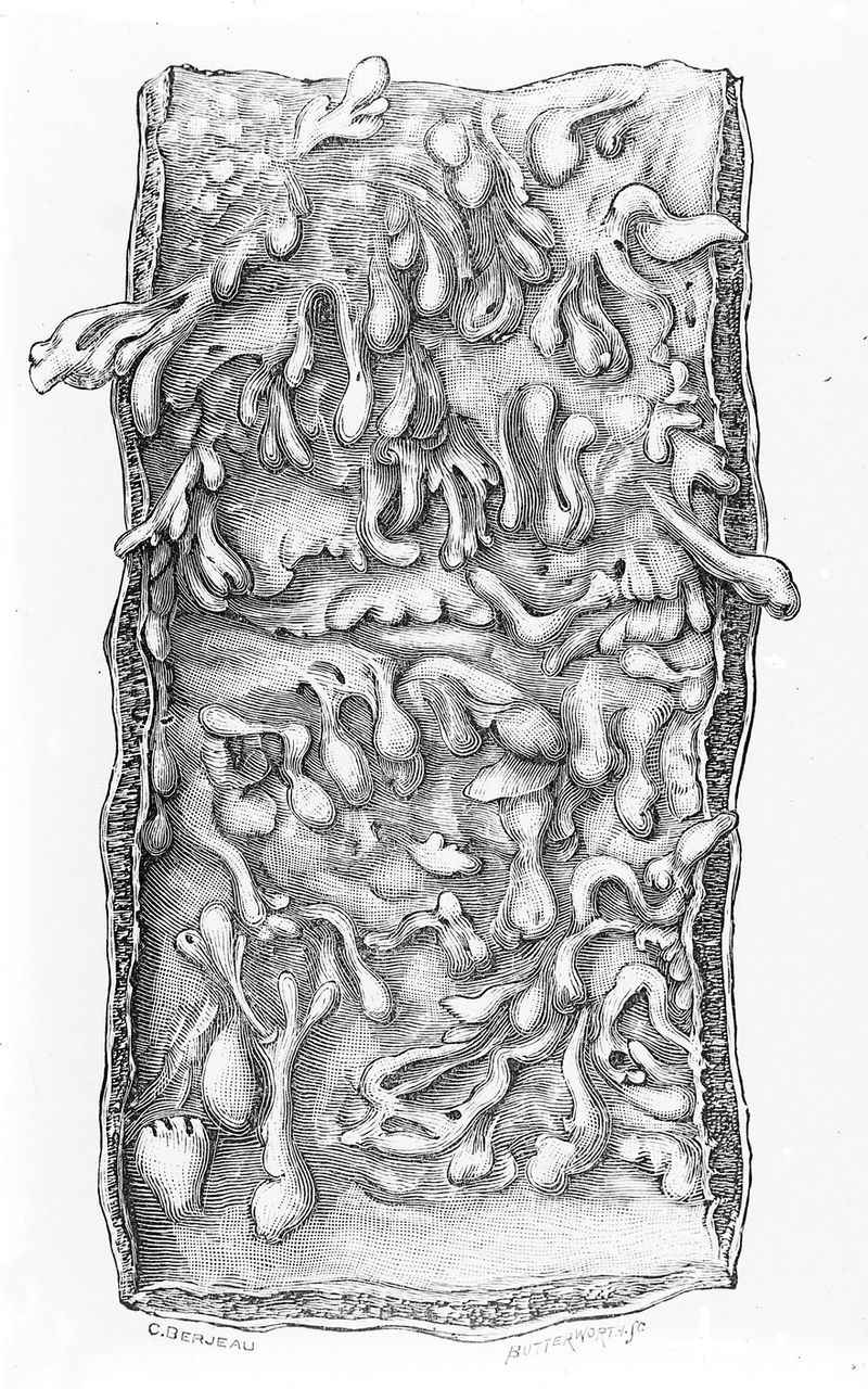 No text description is available for this image