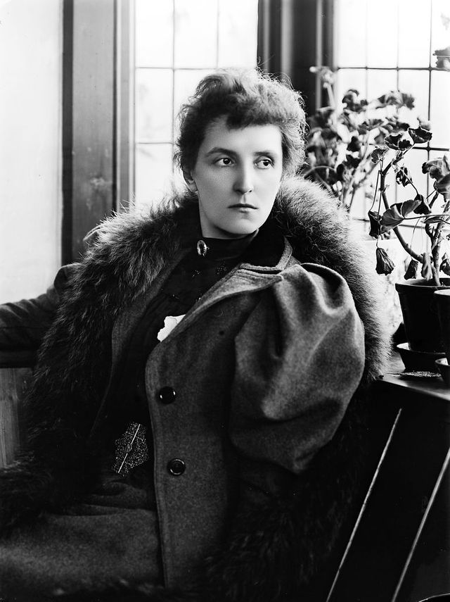 No text description is available for this image