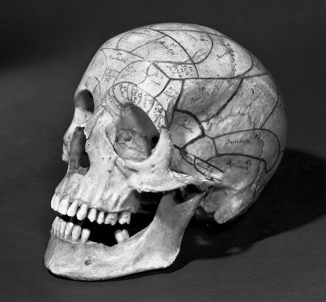 digitised image 1